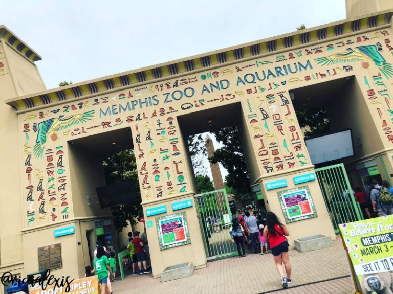 Road Trippin' to the Memphis Zoo and Aquarium