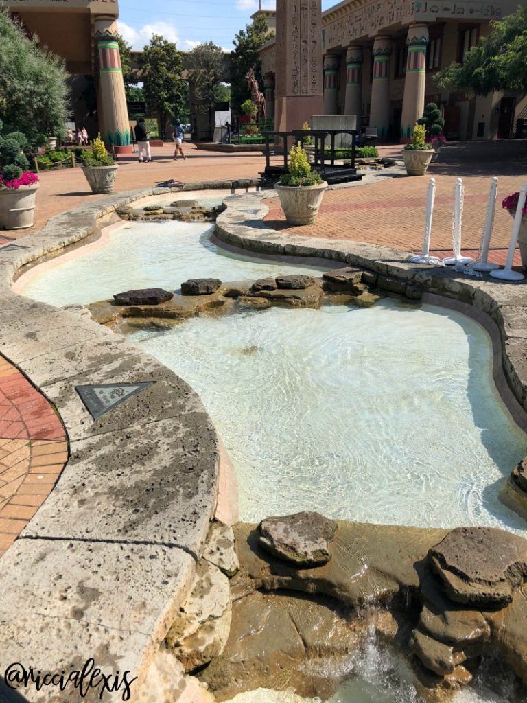 Road Trippin' to the Memphis Zoo and Aquarium