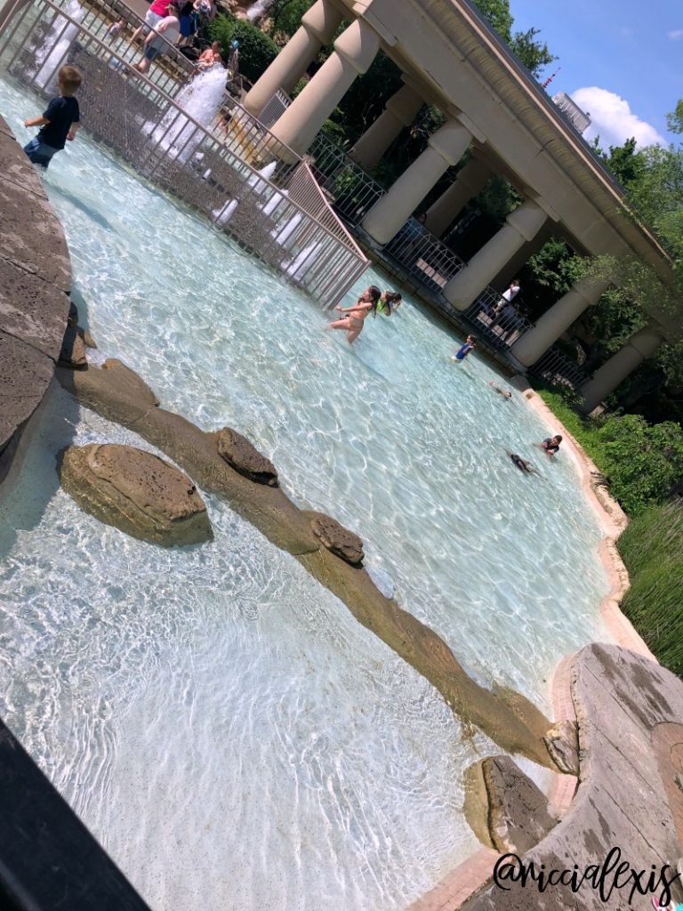 Road Trippin' to the Memphis Zoo and Aquarium