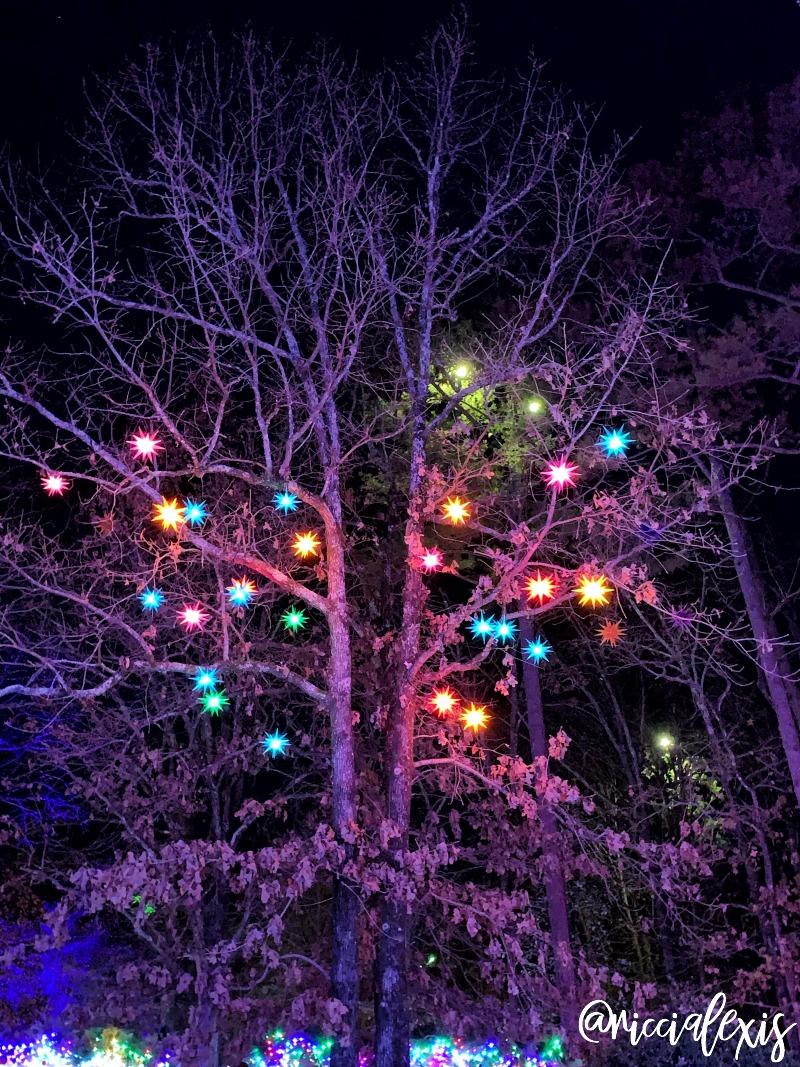 Garvan Woodland Gardens Holiday Lights 2019