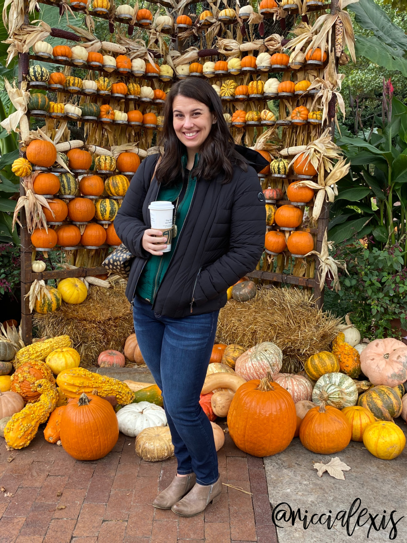 Pumpkins at the Dallas Arboretum 2020 The Art of the Pumpkin