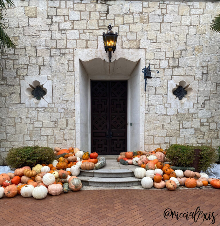 Pumpkins at the Dallas Arboretum 2020 The Art of the Pumpkin