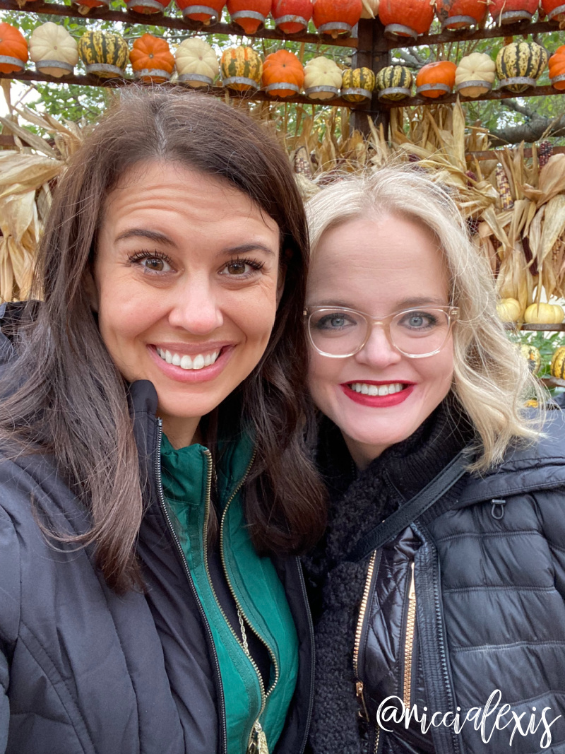 Pumpkins at the Dallas Arboretum 2020 The Art of the Pumpkin